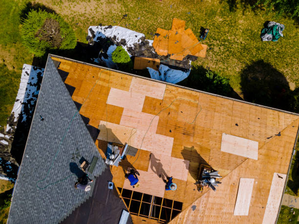 Best Best Roofing Contractors  in Fannett, TX