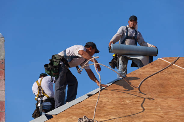 Best Local Roofing Companies  in Fannett, TX