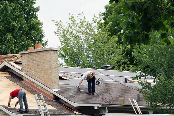 Best Shingle Roofing Installation  in Fannett, TX
