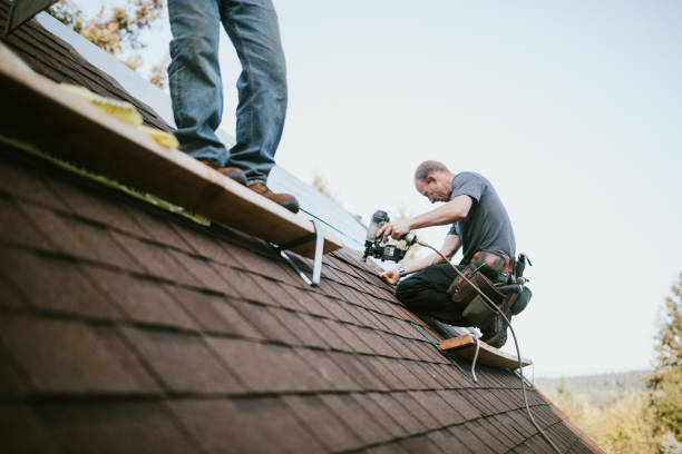 Best Roof Maintenance Services  in Fannett, TX